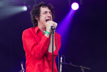 the wombats
